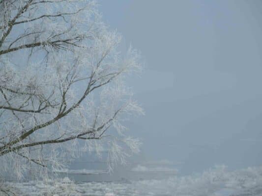 Winter 0209001
